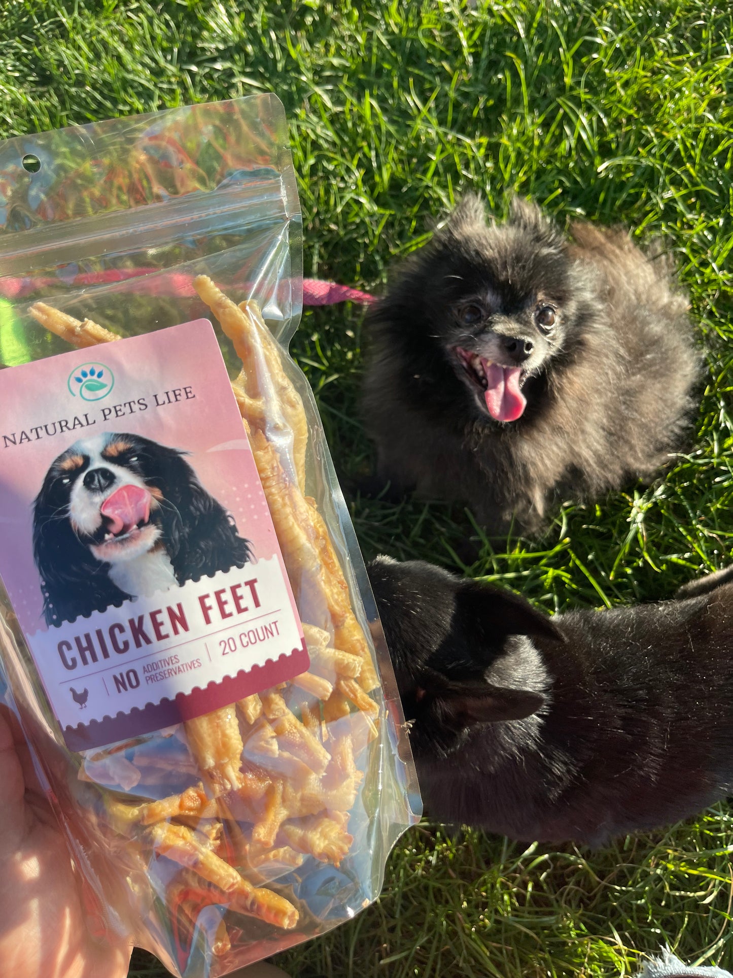 Chicken Feet - Single Ingredient Treat - Made in USA